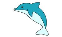 Cum să desenezi un delfin