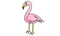Cum să desenezi un flamingo