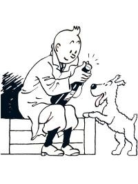 Tintin și Bobbie