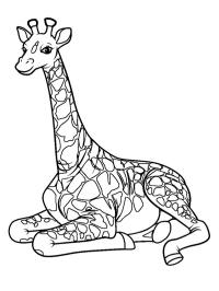 Girafă așezată