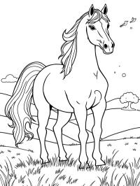 Cal andaluz