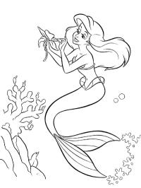 Ariel cu o floare