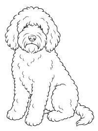 C&acirc;ine Barbet