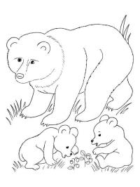 Planse de colorat Urşi | Imprima gratuit de desenat si planse colorat