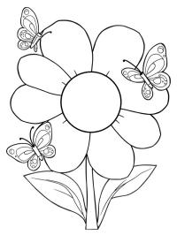 Floare cu fluturi