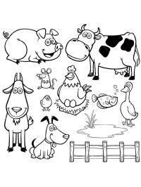 Animale de la fermă