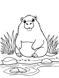 Capibara lângă apă