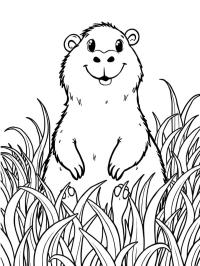 Capibara în iarbă