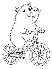 Capibara pe bicicletă