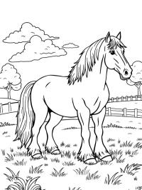 Cal Clydesdale