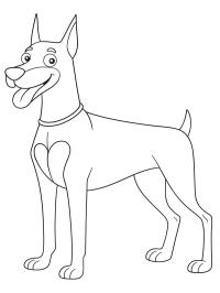 Dobermann