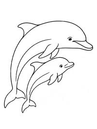 Delfin cu pui