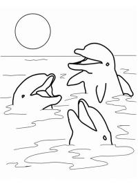 Delfini în ocean