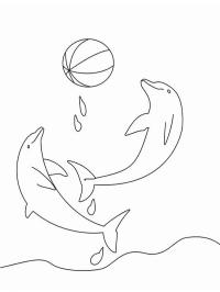 Delfini jucându-se cu o minge