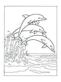 Delfini sar în mare