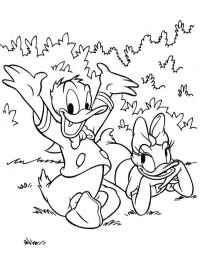 Donald și Daisy