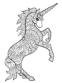 Unicorn (adulţi)