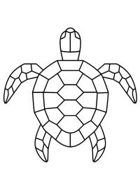 Broască țestoasă geometrică