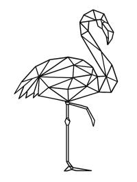 Flamingo geometric