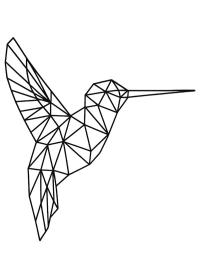 Colibri geometric