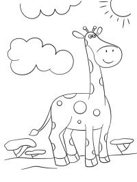 Girafă amuzantă