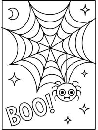 Păianjen hazliu pe pânză