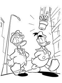 Gladstone Gander și Donald Duck