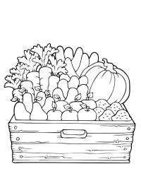 Cutie de legume