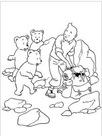 Tintin și urșii