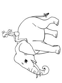 Fetiță pe un elefant