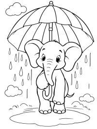 Elefant care ține o umbrelă în ploaie