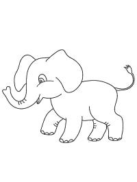 Pui de Elefant