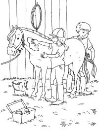 Îngrijirea calului