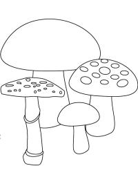 4 ciuperci