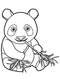 Panda mănâncă bambus