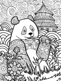 Panda (adulţi)