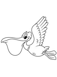 Pelican