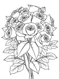 Buchet de trandafiri (adulți)