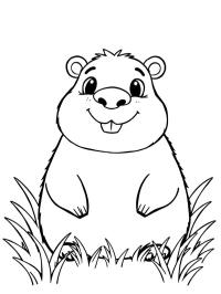 Capibara drăguț
