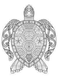 Tatuaj Țestoasă Mandala