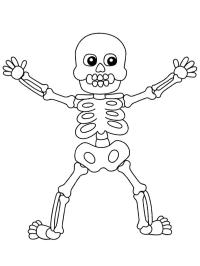 Schelet de Halloween (om)