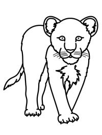 Leopard de zăpadă