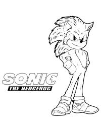 Ariciul Sonic