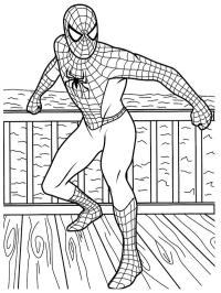 Spiderman cel dur