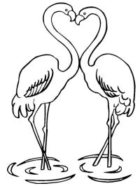 Flamingi îndrăgostiți