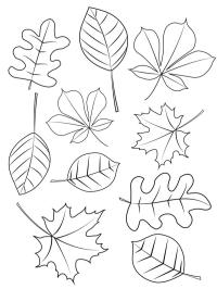 Diverse frunze de toamnă