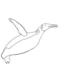 Pinguin zburător