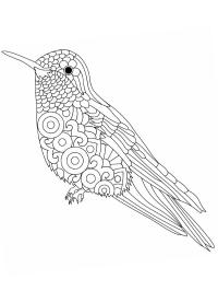 Mandala pasăre