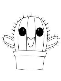 Cactus fericit