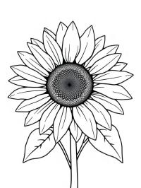 Floarea soarelui